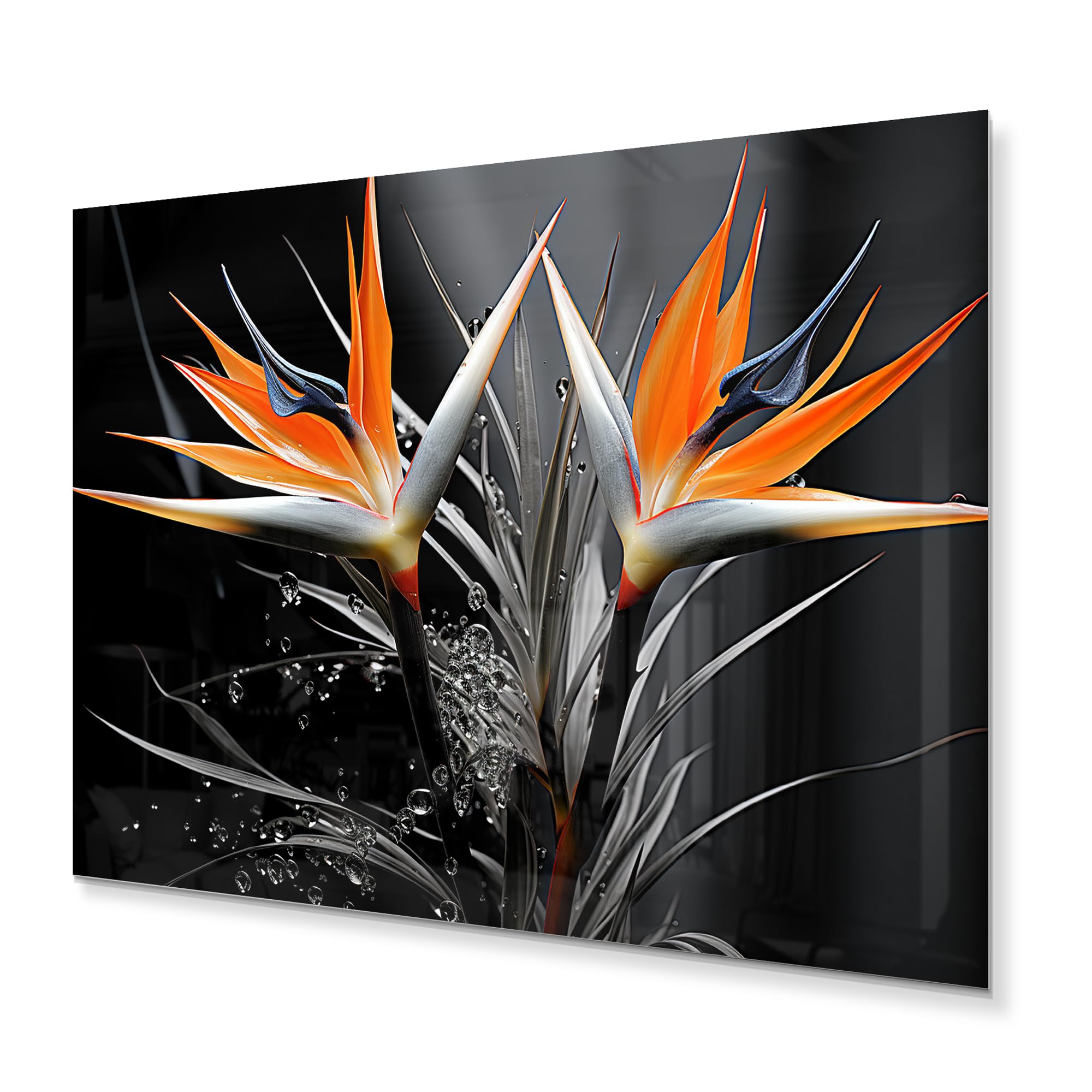 Amazon.com: DesignQ Birds Of Paradise Metal wall art, Tropical